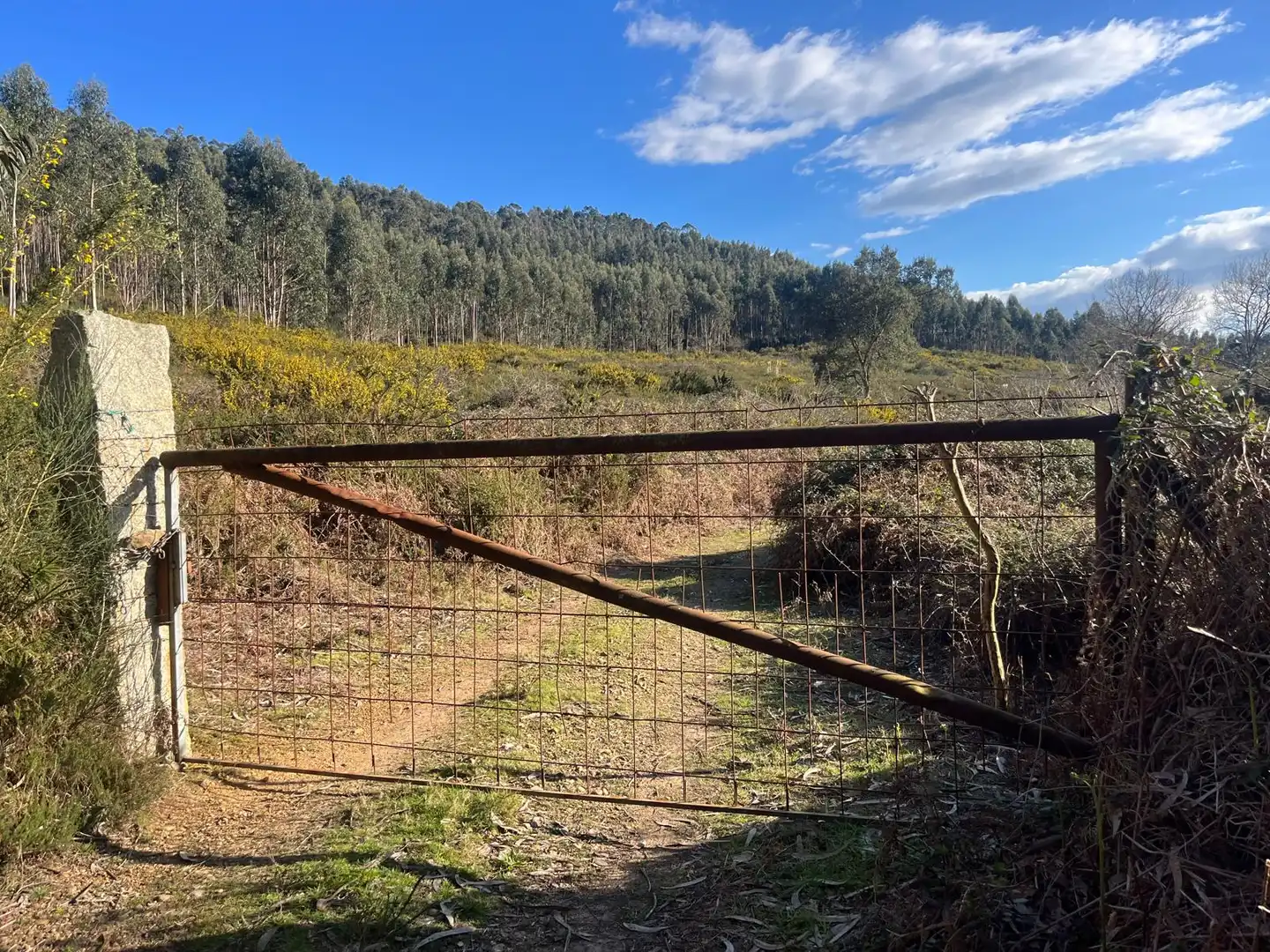 Terreno rustico in vendita a O Rosal, imagen 28