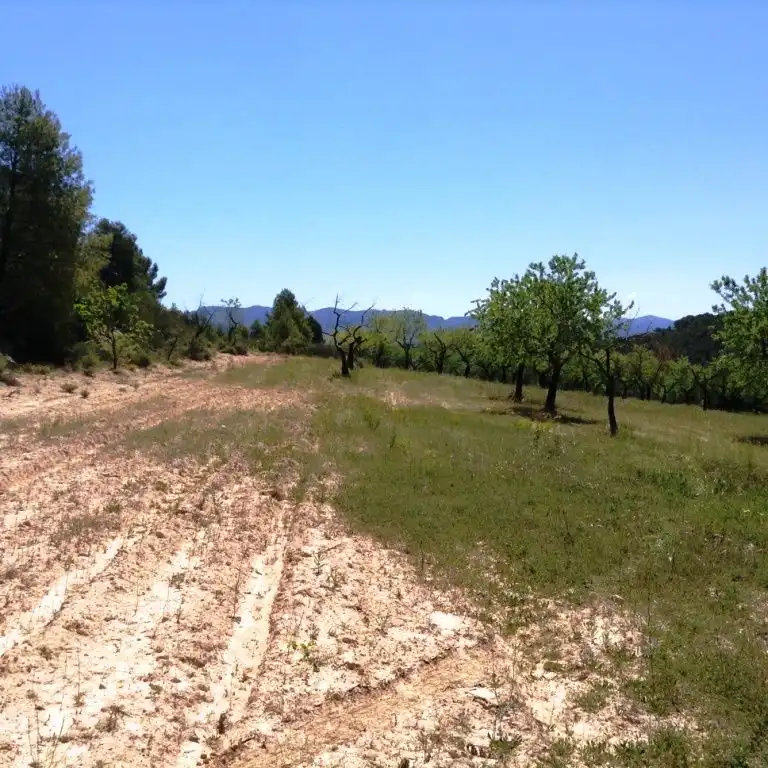 Terreni e lotti in vendita a Arens de Lledó, imagen 3