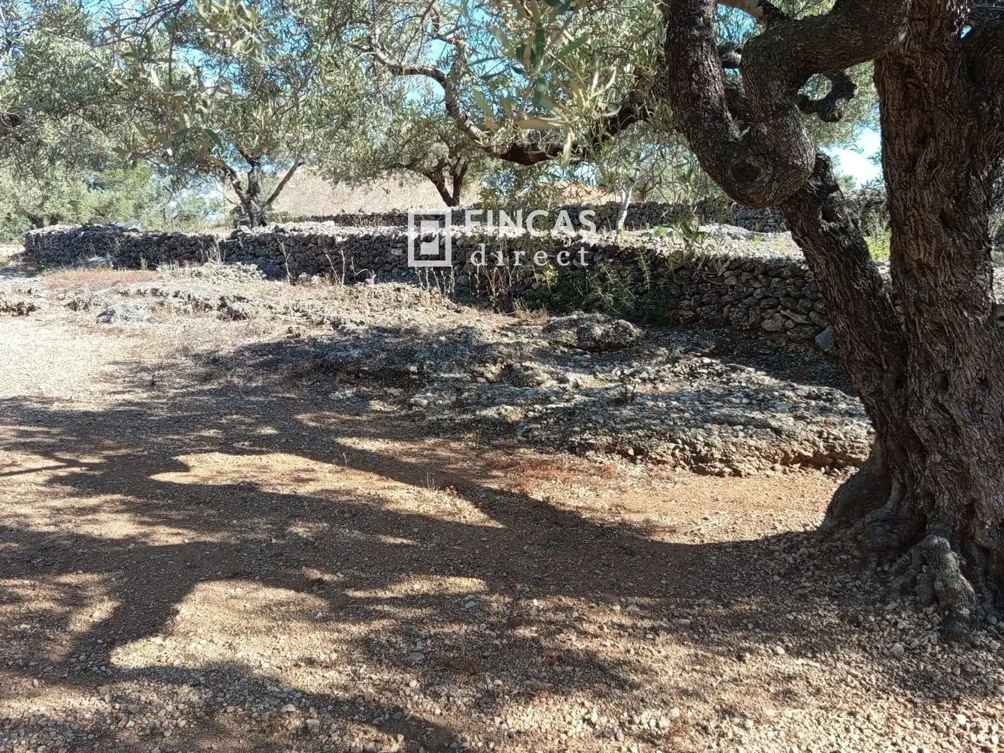 Maison rustique à vendre à RM57+V3F, imagen 9