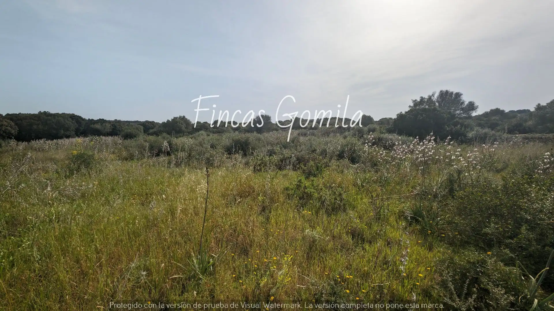 Terreny rústic en venda a cami des pujol, imagen 7