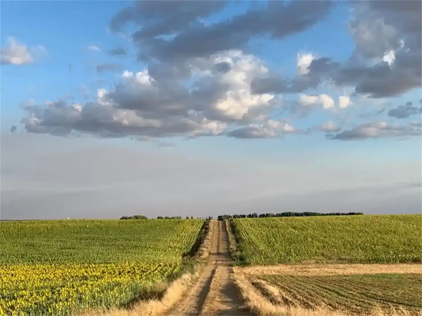 Piso en venta en Villalcón