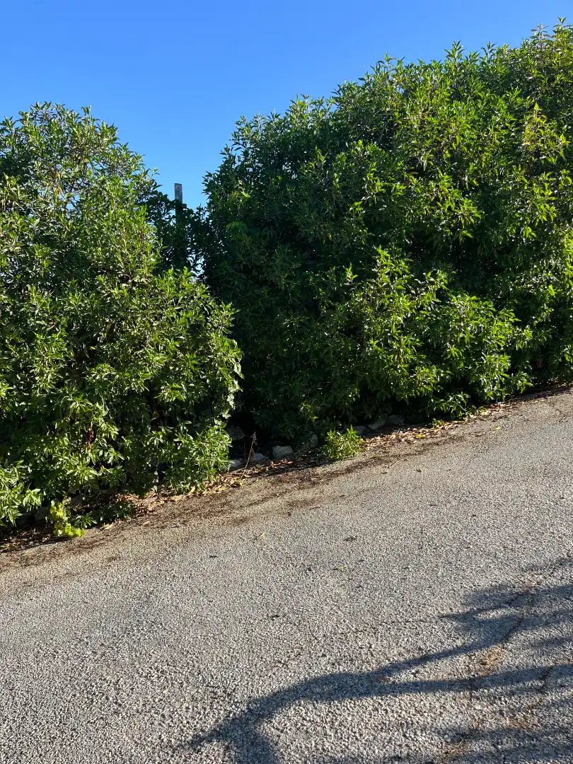 Finca rústica en venta en Cártama con Aire acondicionado, Terraza y Amueblado