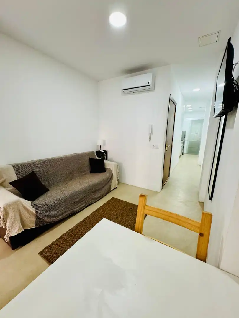 Sala d'estar de Estudi en venda en Las Palmas de Gran Canaria amb Aire condicionat i Moblat