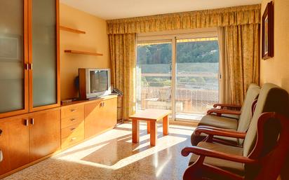 Living room of Flat for sale in Ripoll  with Balcony