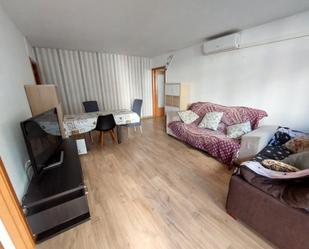 Sala d'estar de Pis de lloguer en Cerdanyola del Vallès amb Aire condicionat i Moblat