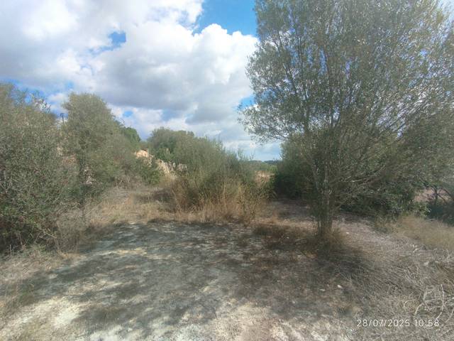 Terreno en Venta en Lloret de Vistalegre