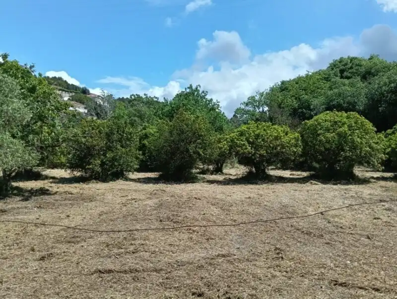 Finca rústica en venda en Tortosa