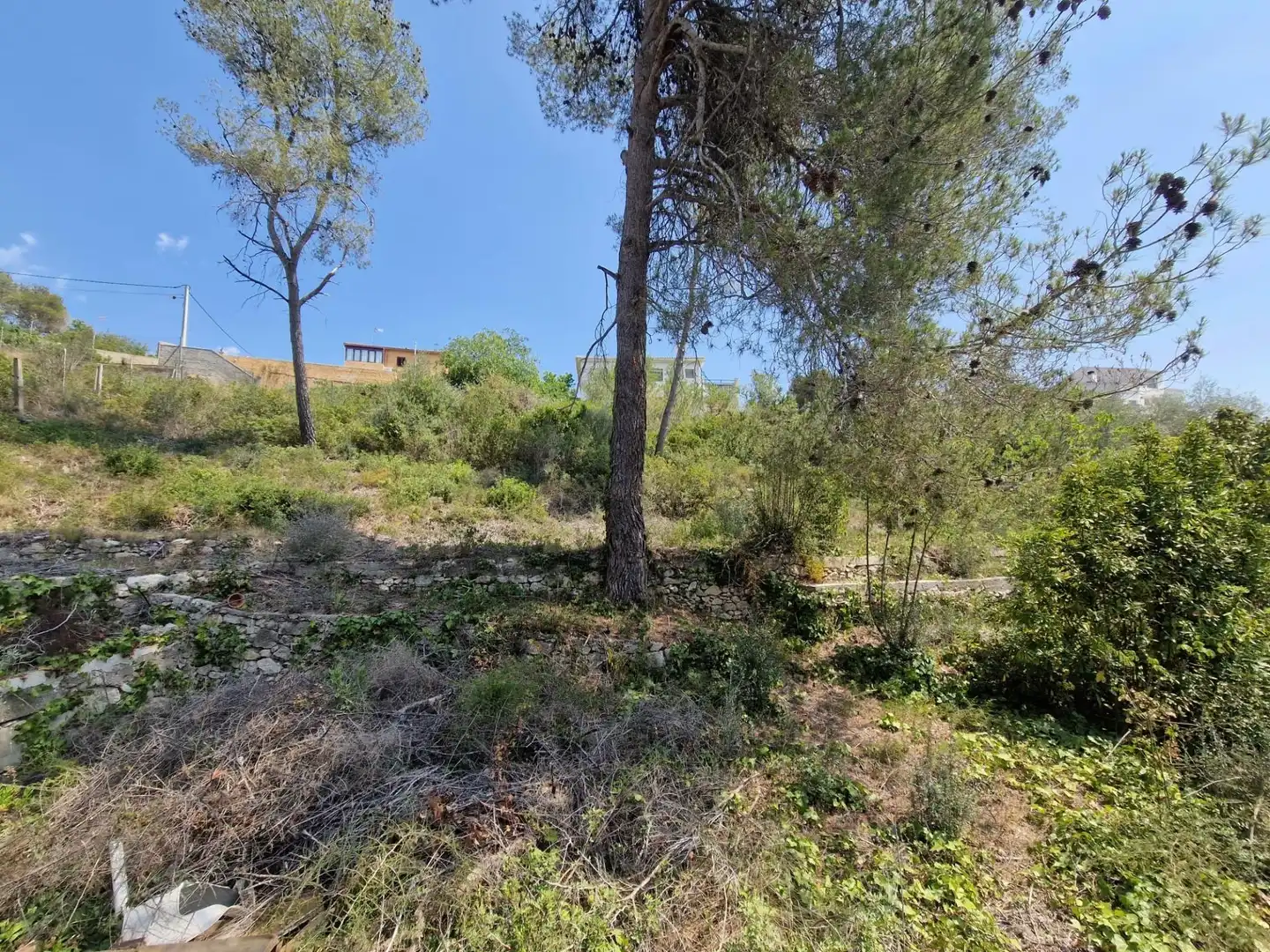 Residential land for sale in Olivella