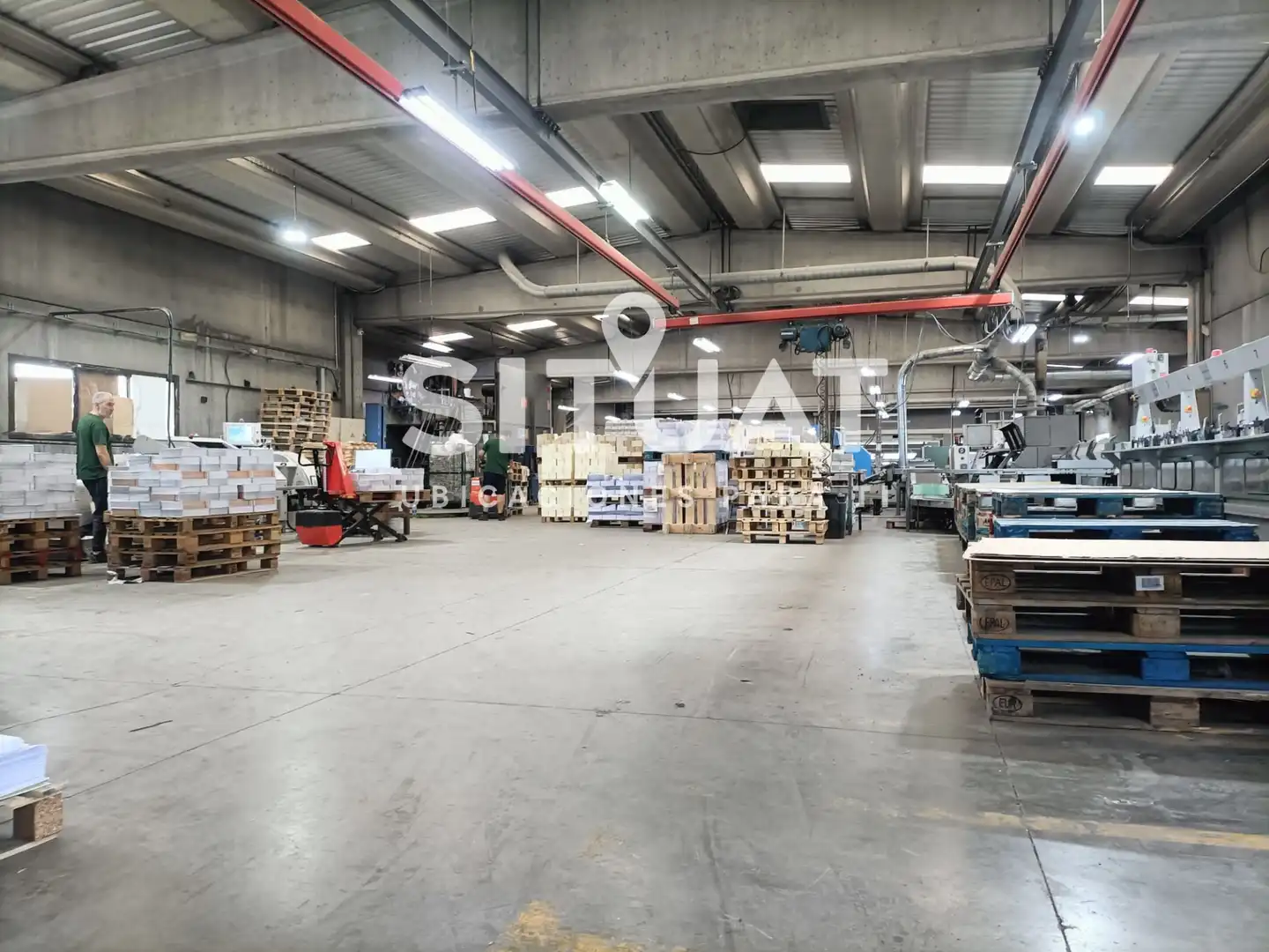 Industrial building with lift for sale in Carretera de Torrelles de Llobregat 22, imagen 5
