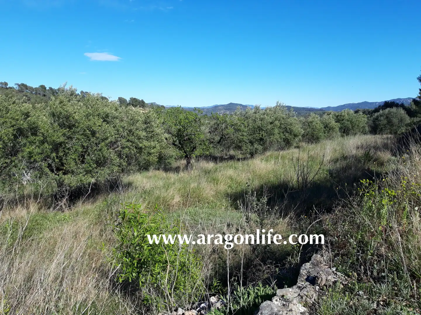 Country homes for sale in El Pinell de Brai