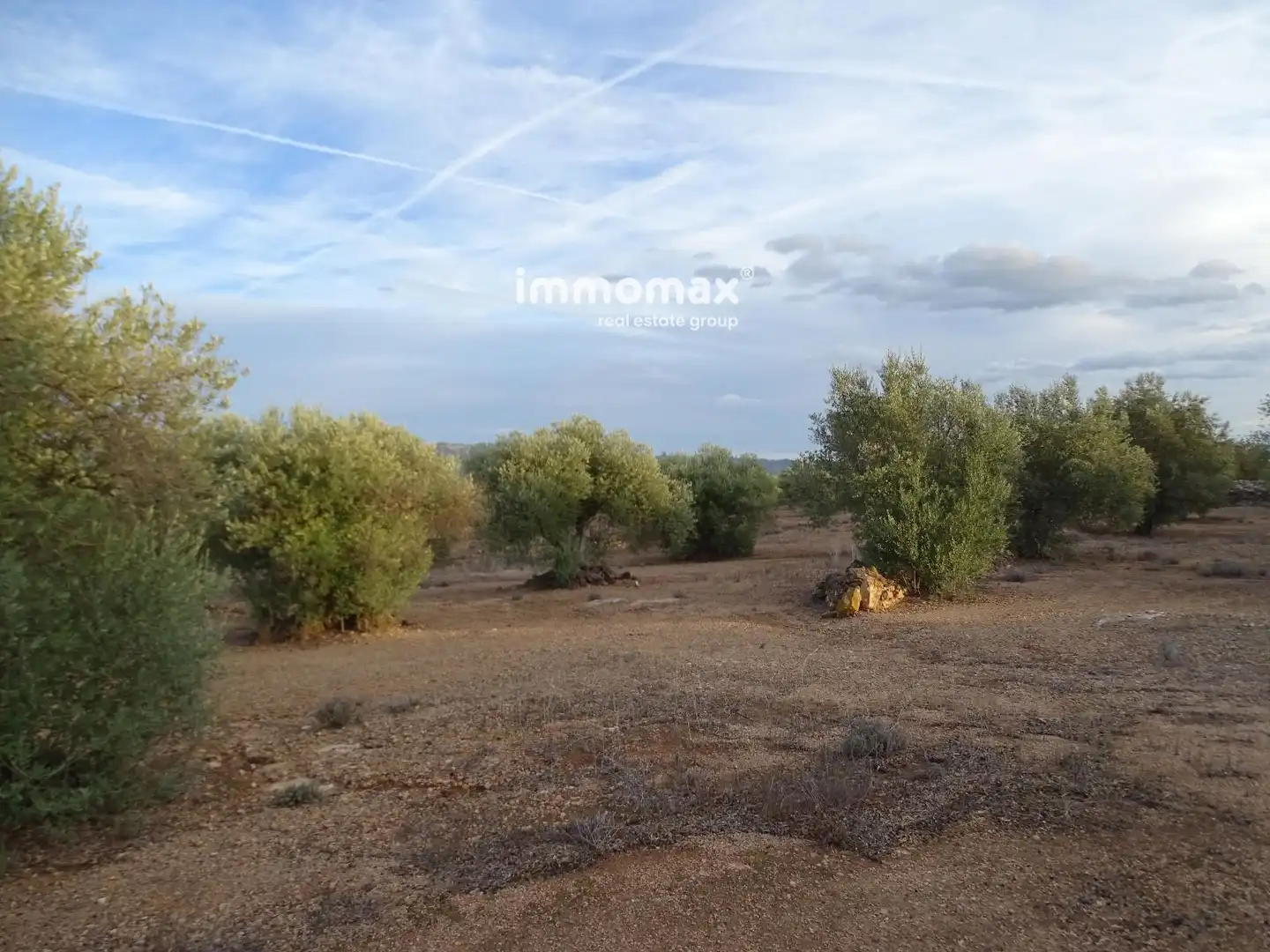 Terrain résidentiel à vendre à 16, imagen 8