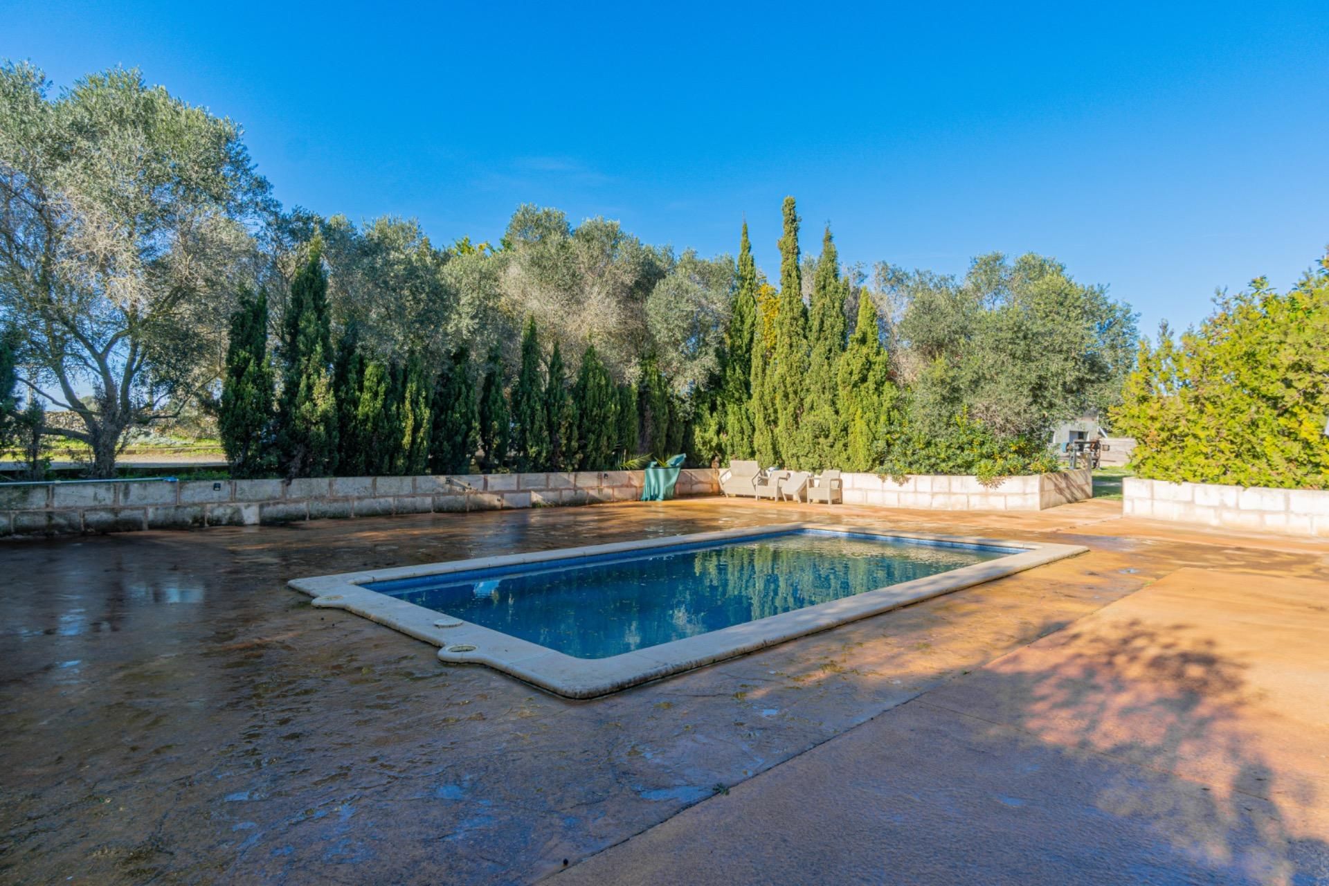 Piscina de Finca rústica en venda en Manacor amb Aire condicionat, Calefacció i Jardí privat