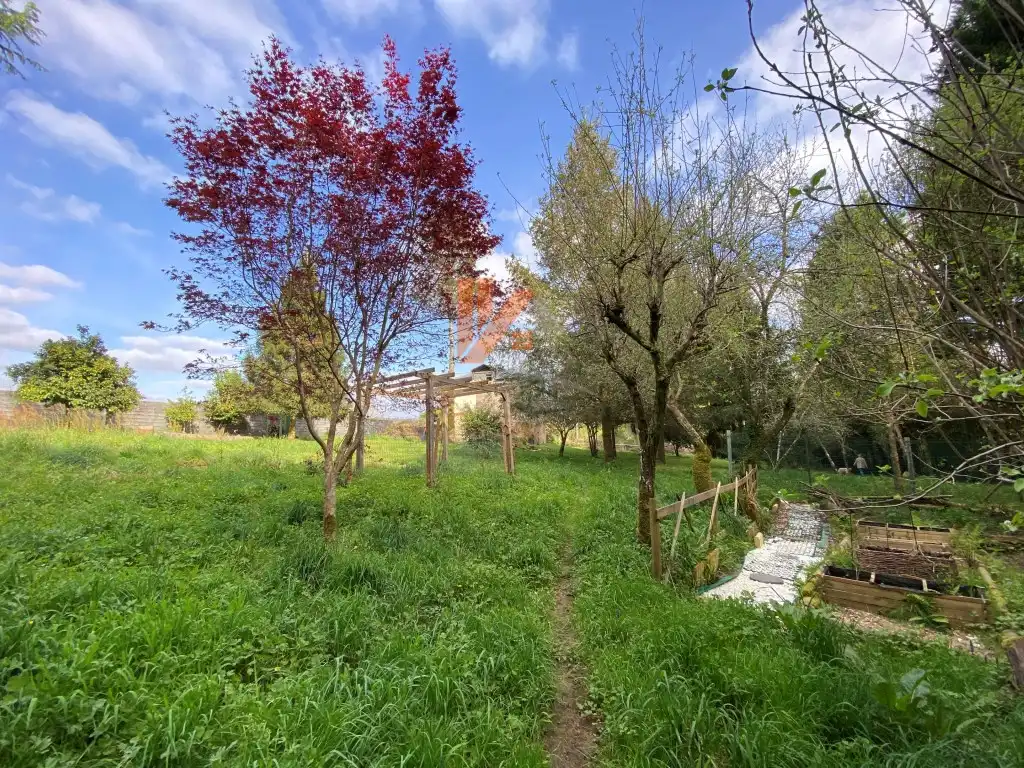 Casa o xalet en venda en Ames