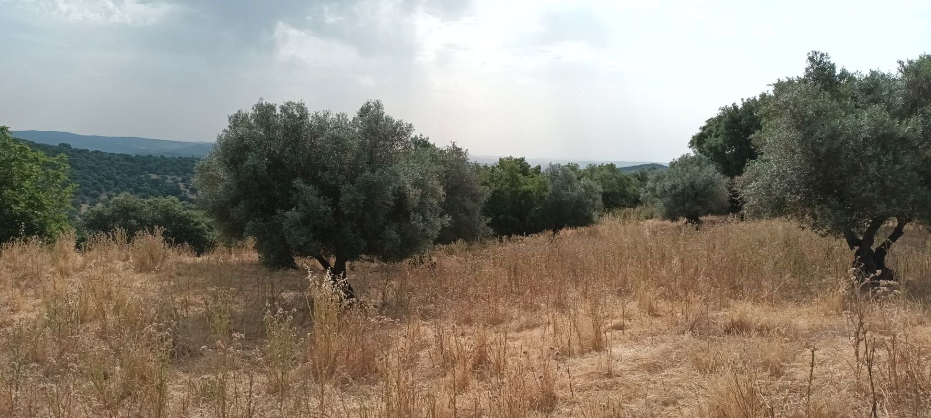Land for sale in Valle de Santa Ana