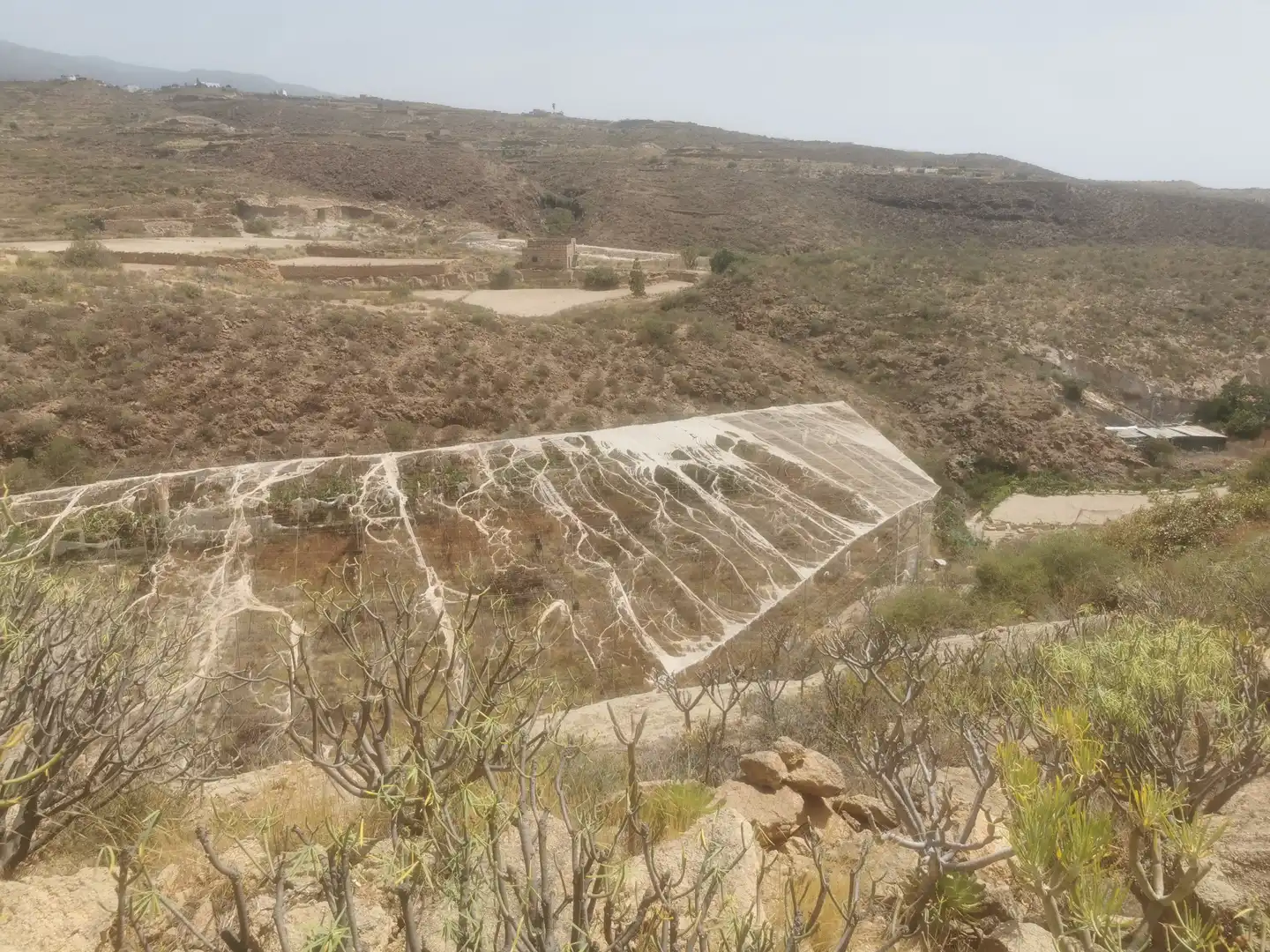 Terreny en venda en Granadilla de Abona