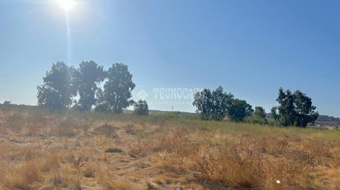 Photo 4 of Land for sale in Valdepasillas - La Paz - Huerta Rosales, Badajoz