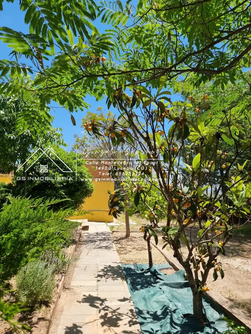 Country house zur Miete in Lucena mit Klimaanlage, Schwimmbad und Möbliert