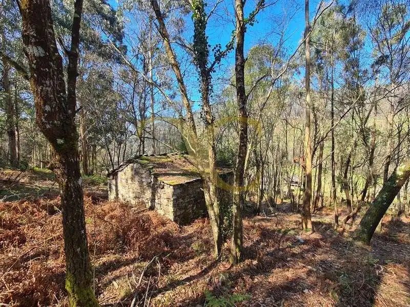 Vista exterior de Casa o xalet en venda en Villayón amb Jardí privat