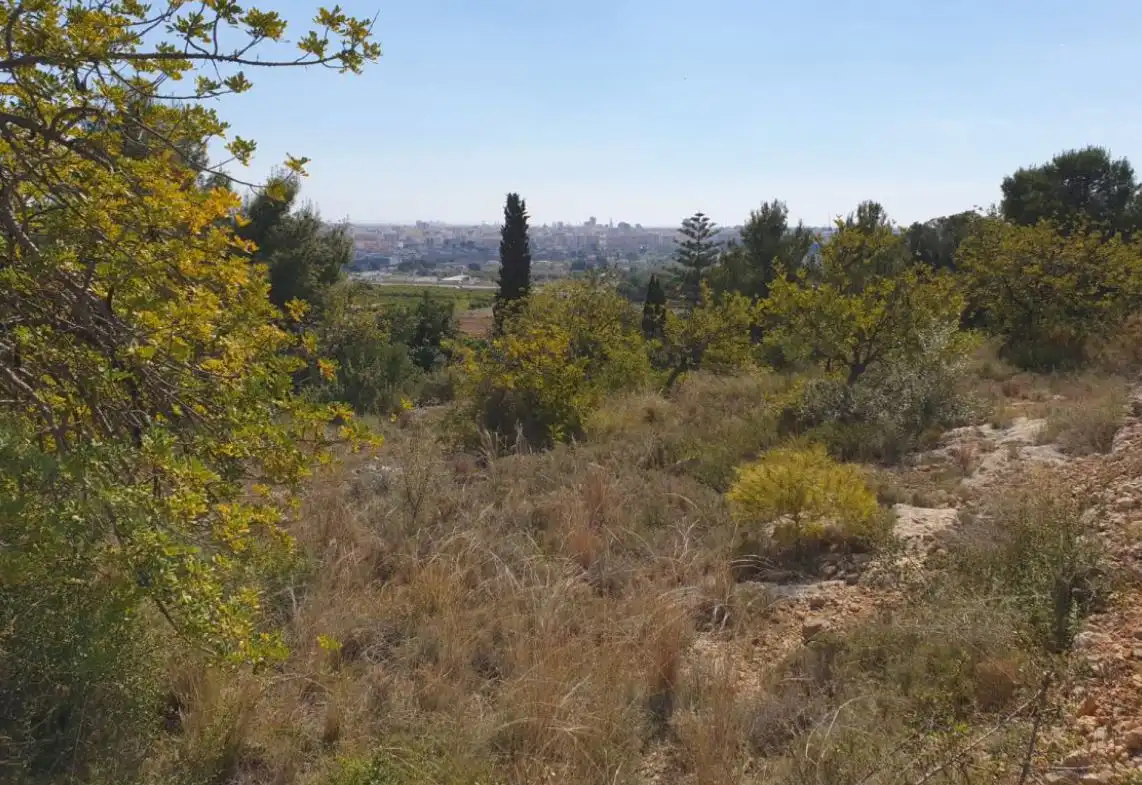 Residential land for sale in Pl Número 115, imagen 10