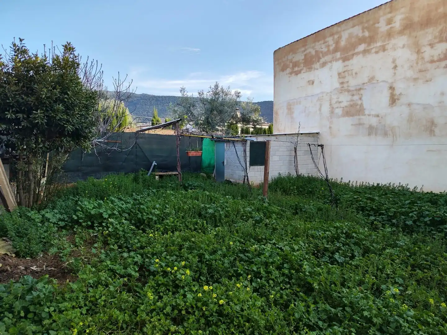 Terreno residencial en venta en LAS FLORES 5, imagen 5