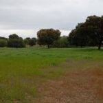 Terreno en Venta en Topas