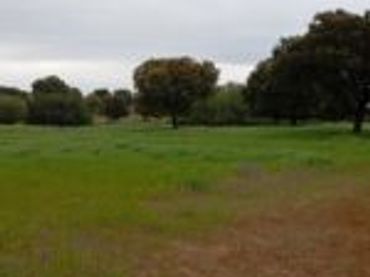 Terreno rústico en venta en Topas
