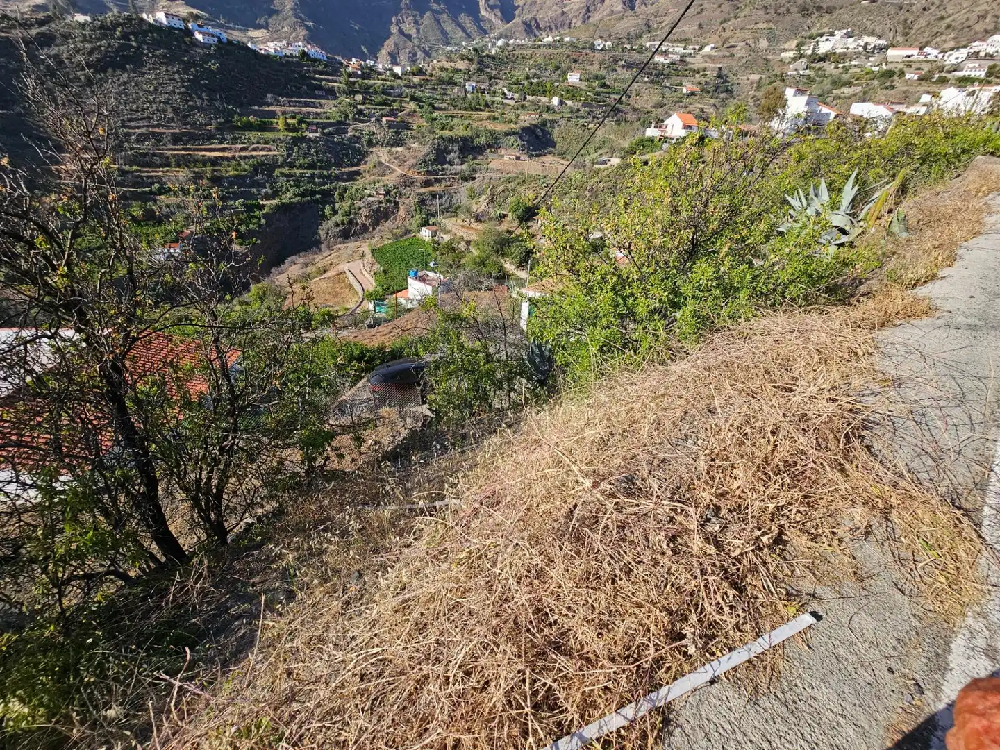 Finca rústica en venta en Tejeda