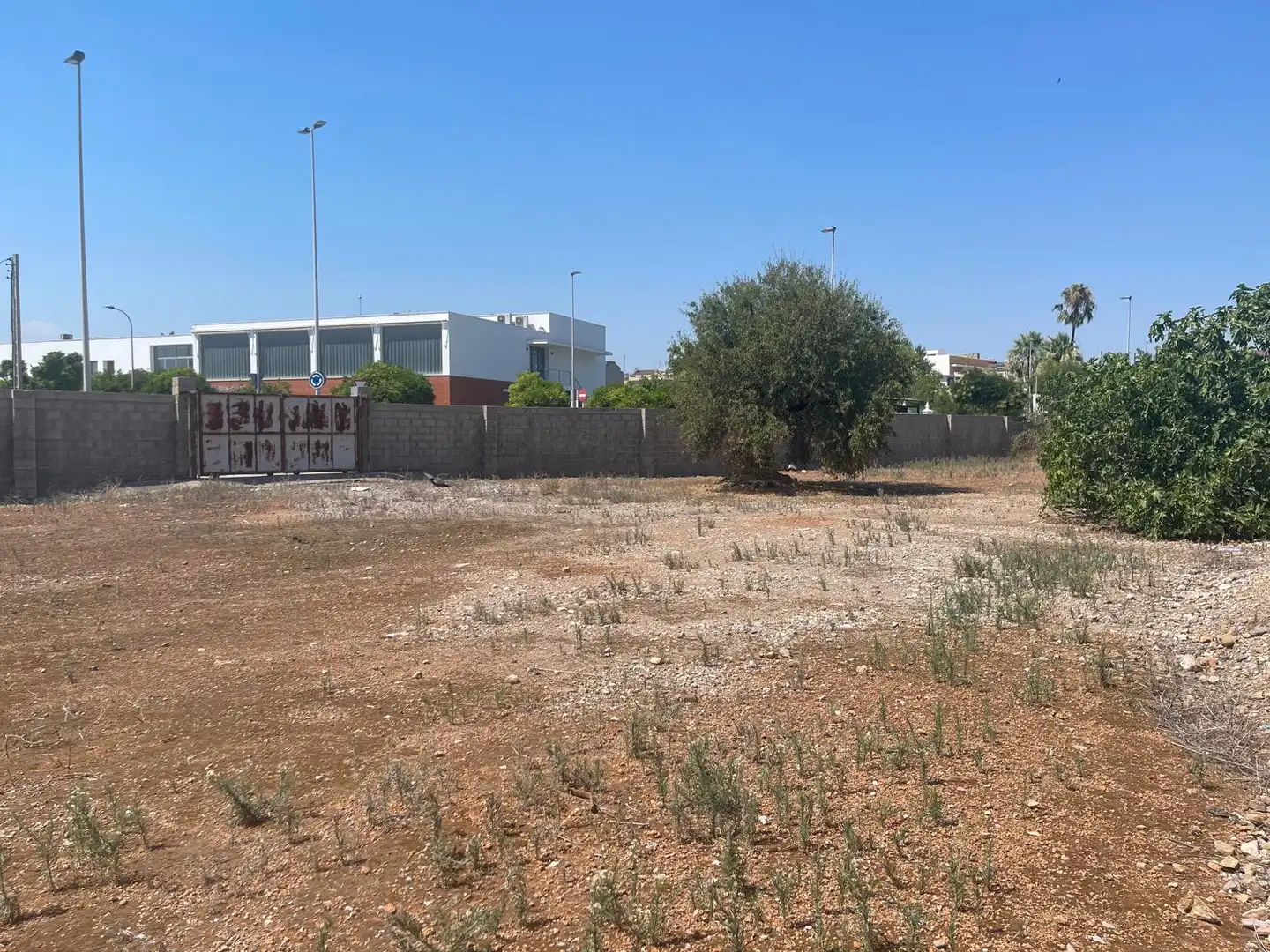 Residencial en venta en Calle Cuadra la Salera, 31, Ciutat del Transport - La Salera