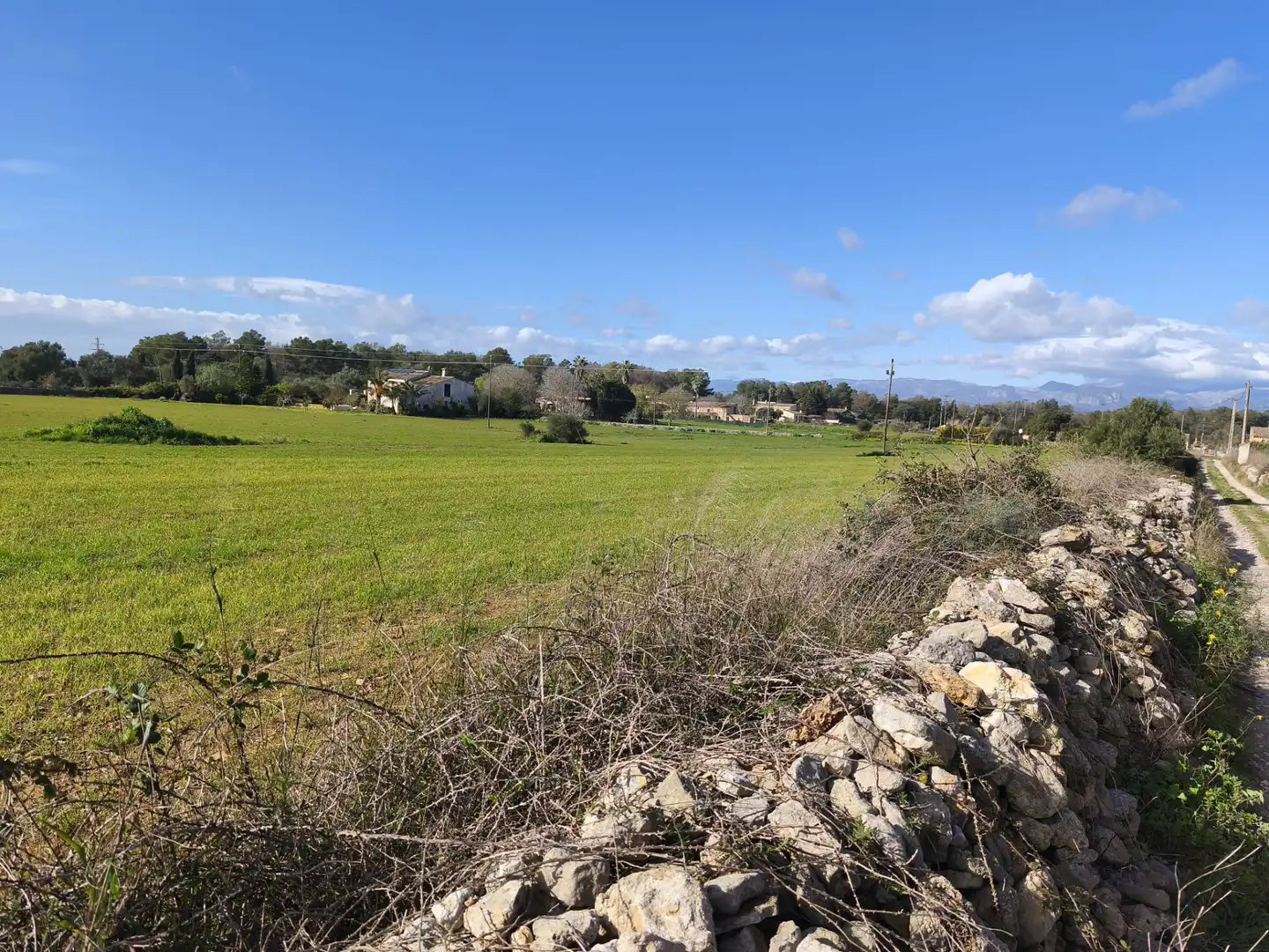 Terreno rustico in vendita a Lloret de Vistalegre, imagen 6