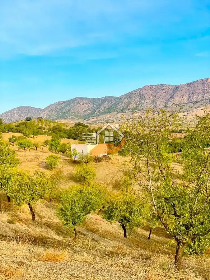 Maison rustique à vendre à Vélez-Rubio, imagen 23