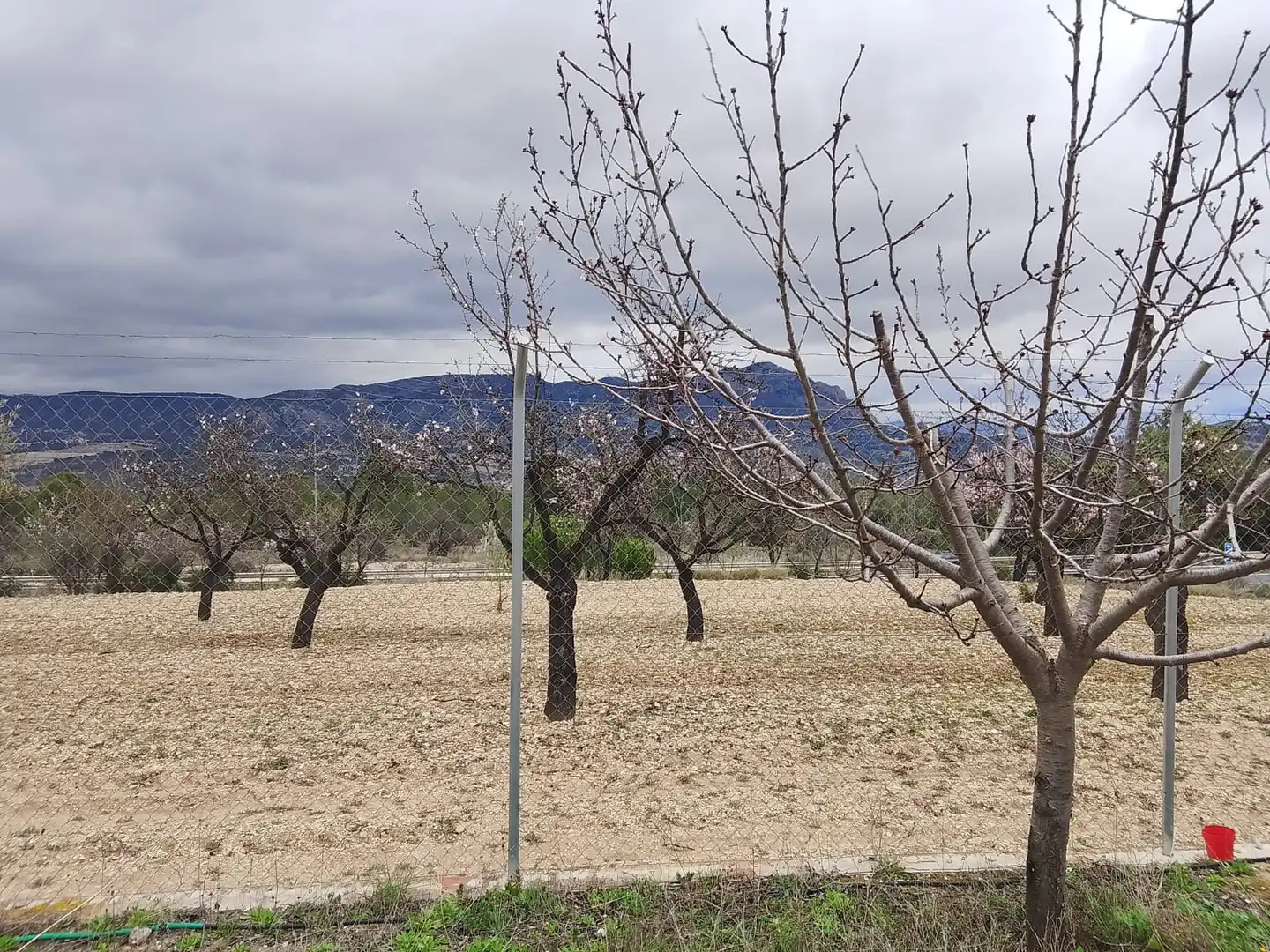 Casa o xalet en venda en Tibi amb Jardí privat, Terrassa i Moblat