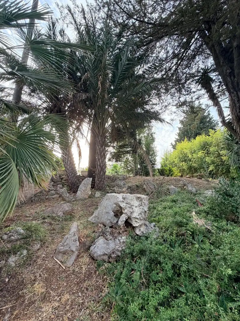 Villa avec piscine à vendre à Albaida, imagen 51