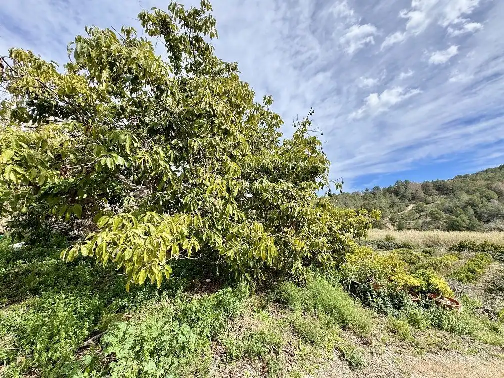 Country homes for sale in Altea la Vella