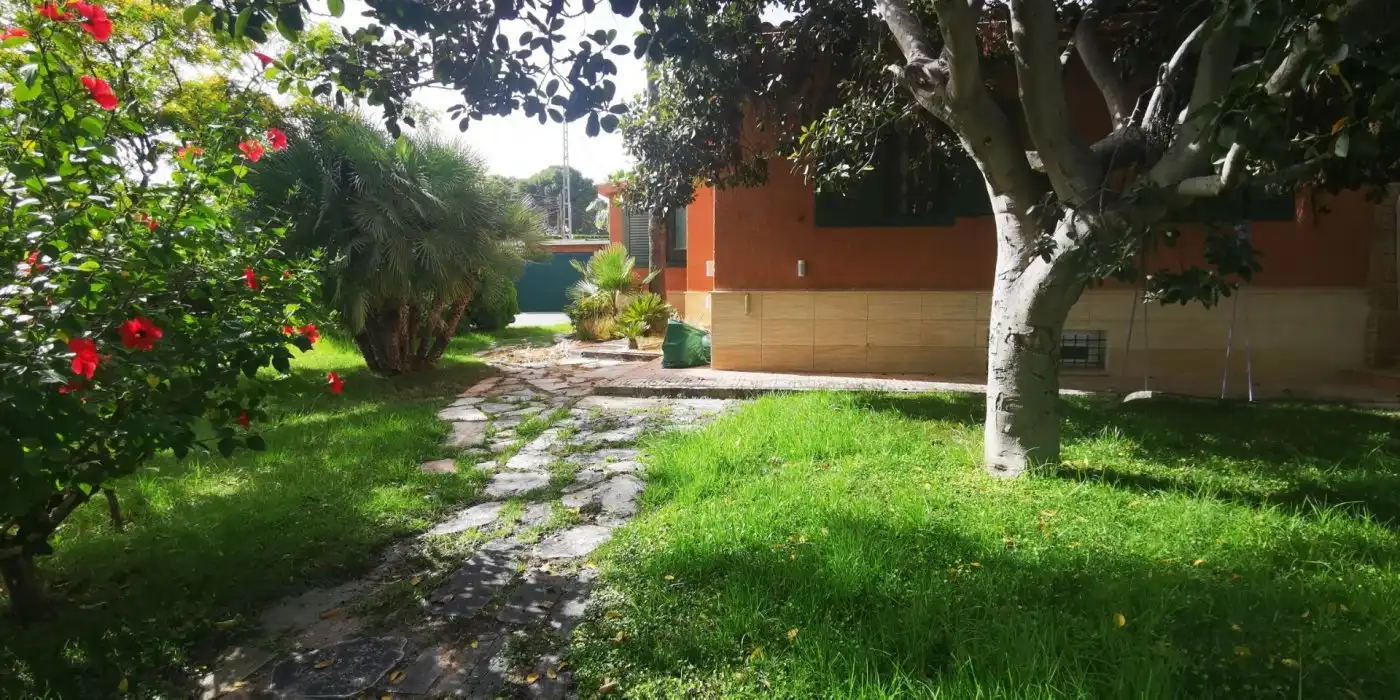Jardí de Casa o xalet en venda en Elche / Elx amb Aire condicionat, Jardí privat i Terrassa