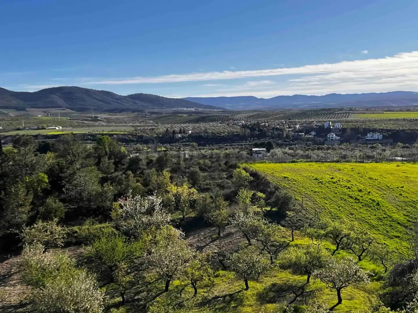 Land for sale in Gójar