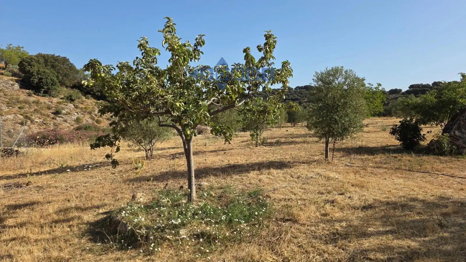 Terreno en venta en Camino Cartajima, carretera de san pedro, Partidas Sur