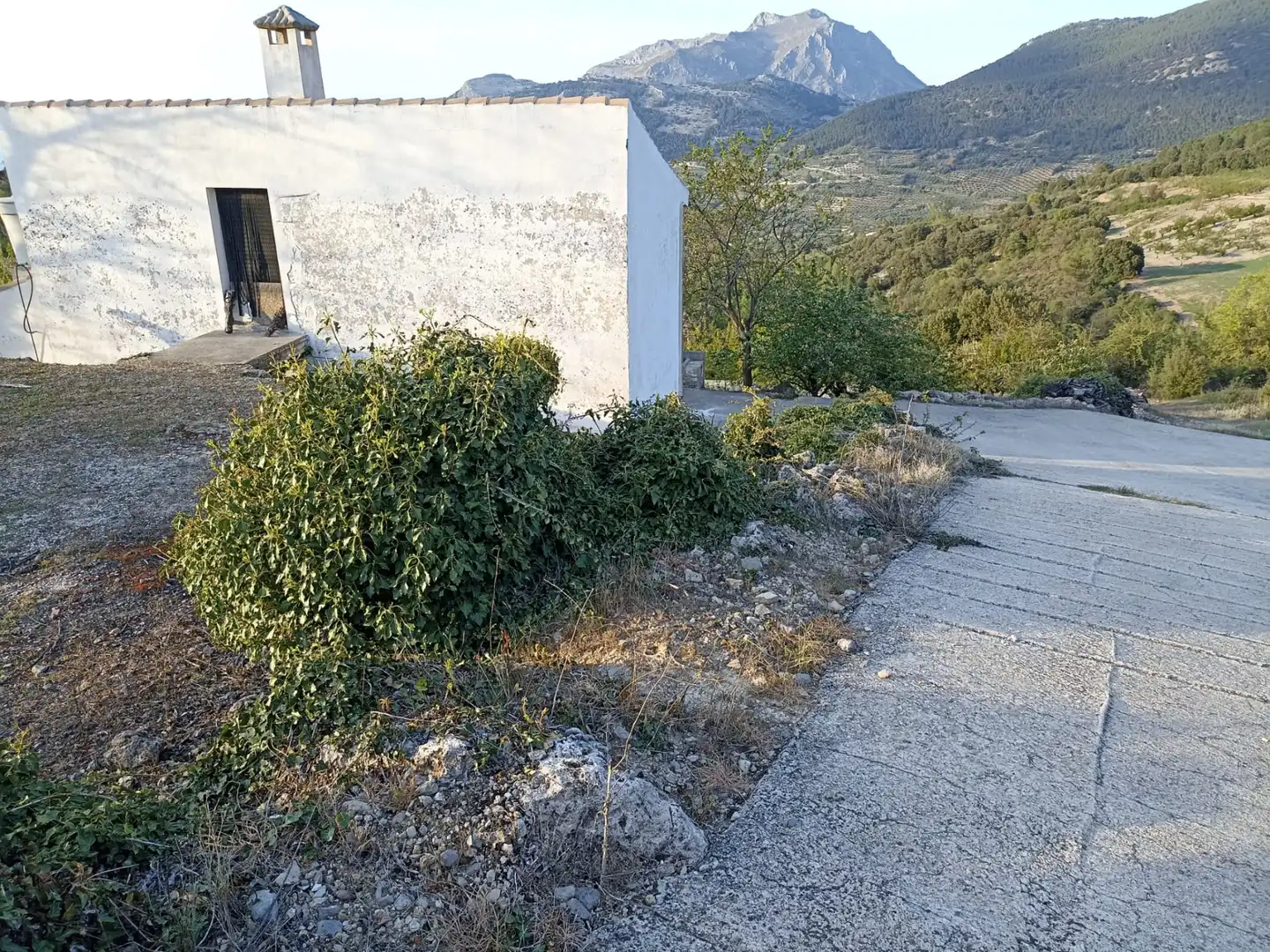 Land for sale in Torres