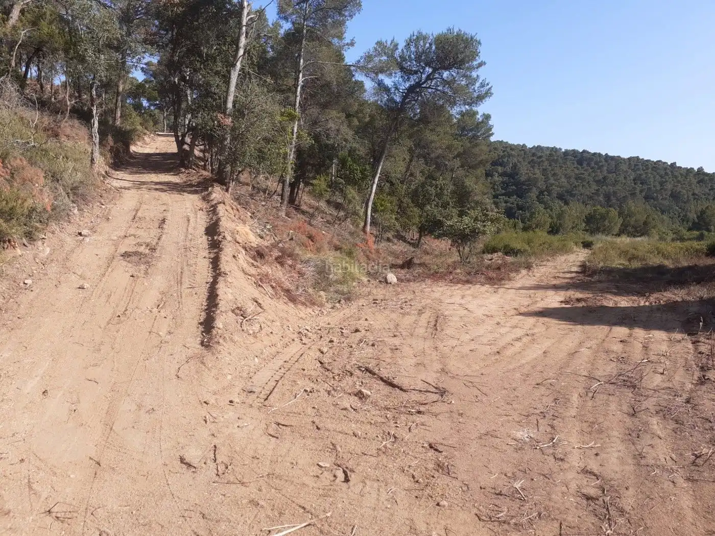 Rustikales Grundstück zum Verkauf in Carrer de la Tarongina 10, imagen 4