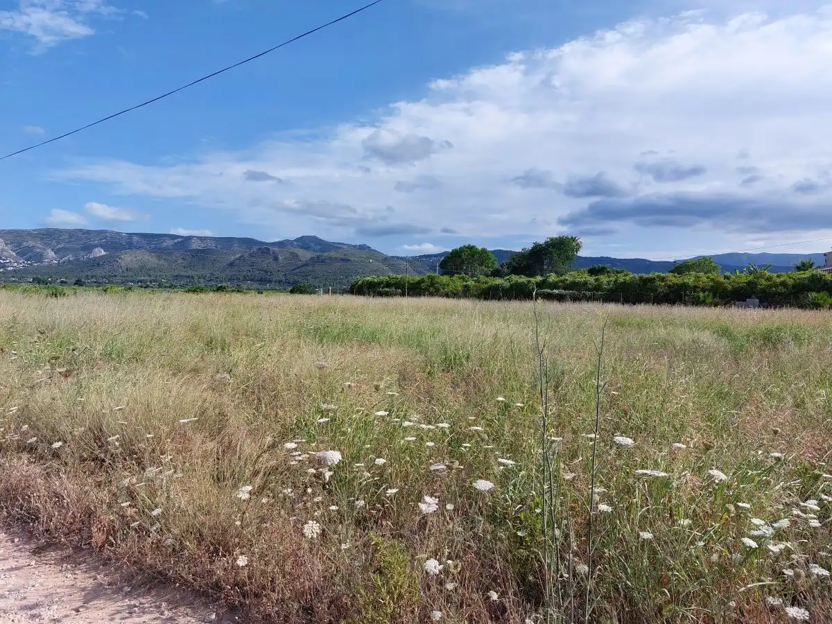 Terreny residencial en venda a Beniarbeig, imagen 16