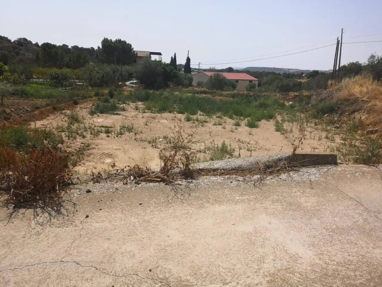 Terreni e lotti in vendita a Sector  Partida Demba, imagen 3