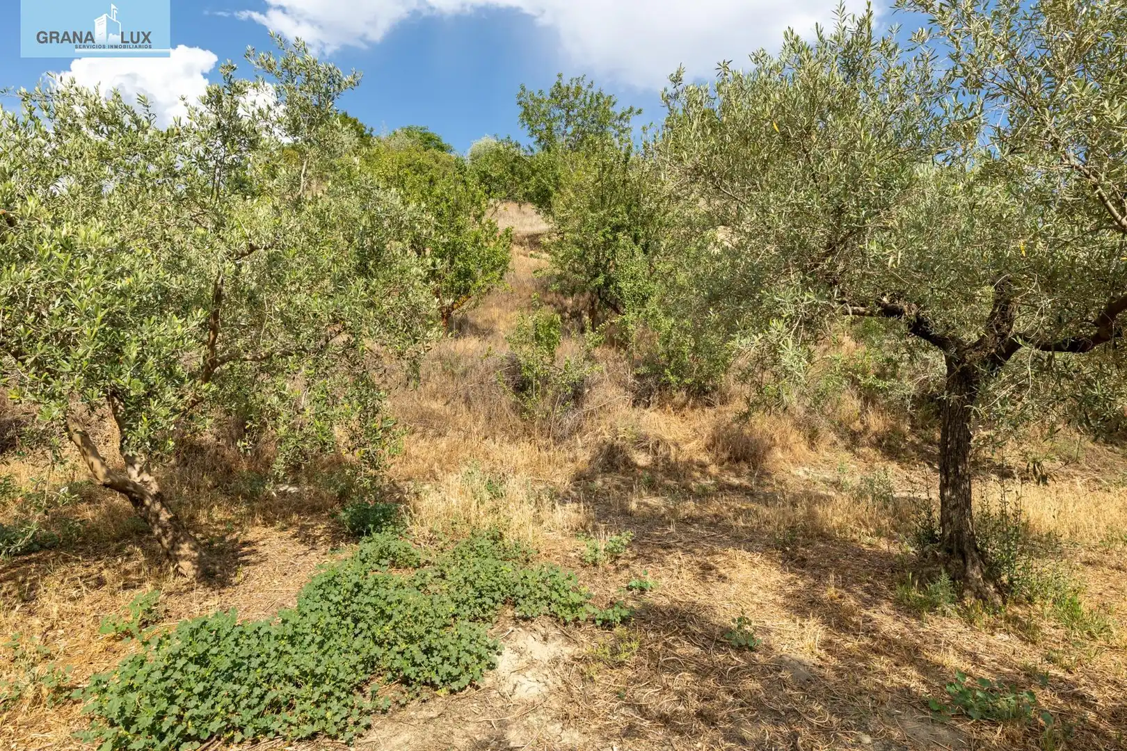 Terreno rustico in vendita a Calle POL 1, PARC 176, imagen 16