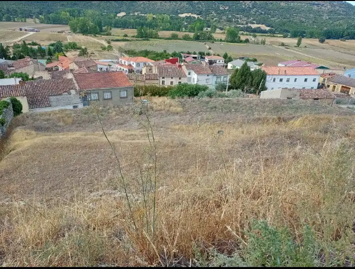 Terreny rústic en venda a Cañada del Hoyo, imagen 2