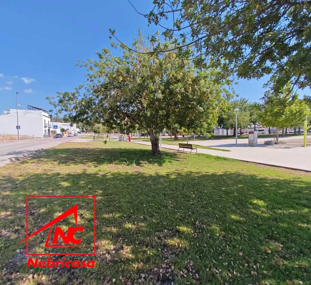 Lands and plots for sale in El Cuervo de Sevilla, imagen 4