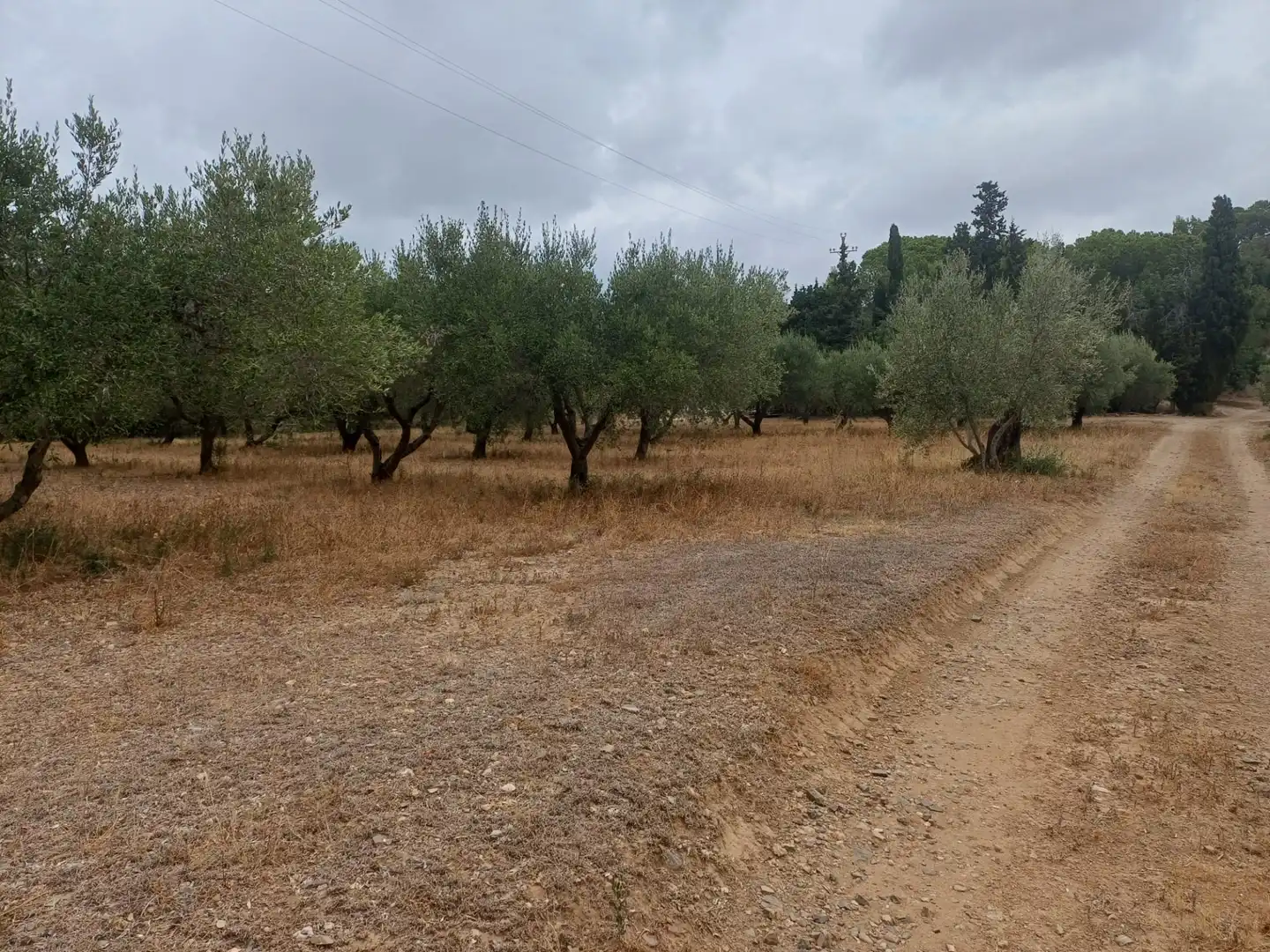 Terreno en venta en Vilanova d'Escornalbou