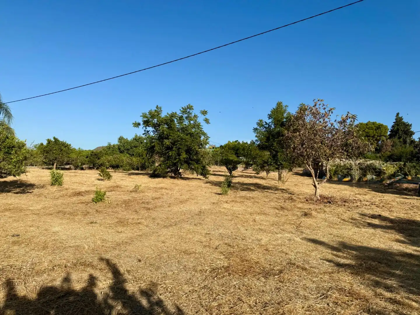 Terrenys i solars en venda a Coín, imagen 6