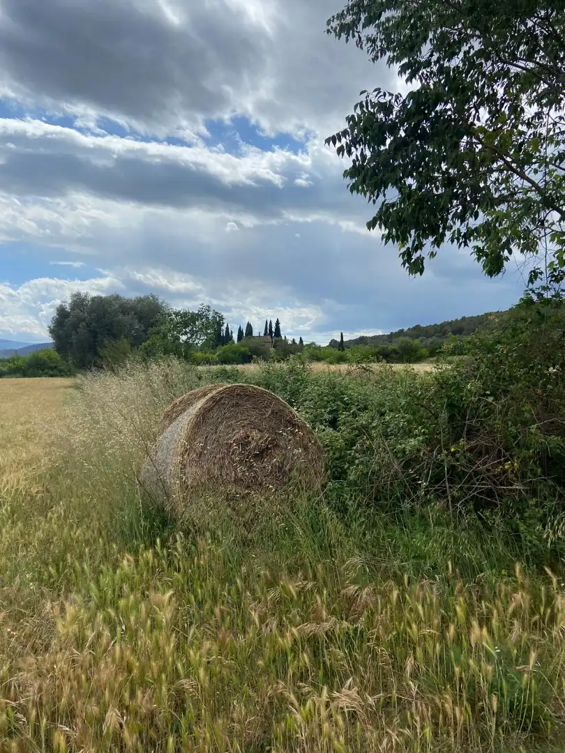 Finca rústica en venda en Maià de Montcal amb Aire condicionat, Calefacció i Jardí privat