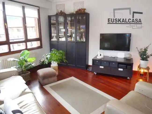 Sala d'estar de Pis de lloguer en Bilbao  amb Calefacció i Moblat