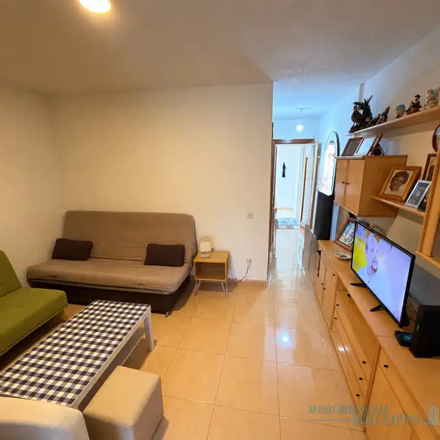 Piso con piscina en venta en Juzgados - Plaza de Toros, imagen 2