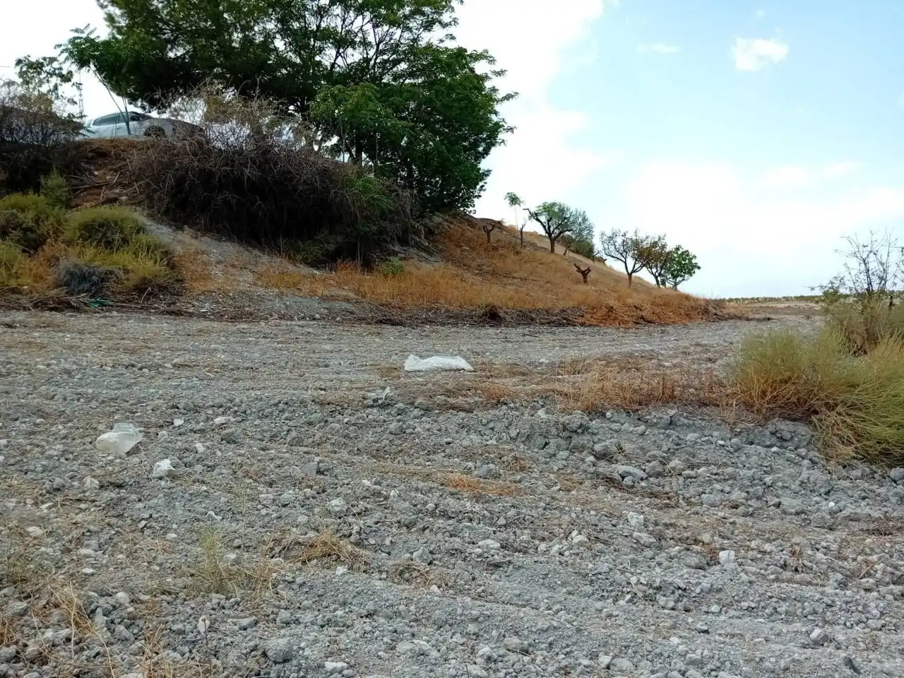 Industrial land for sale in Orce