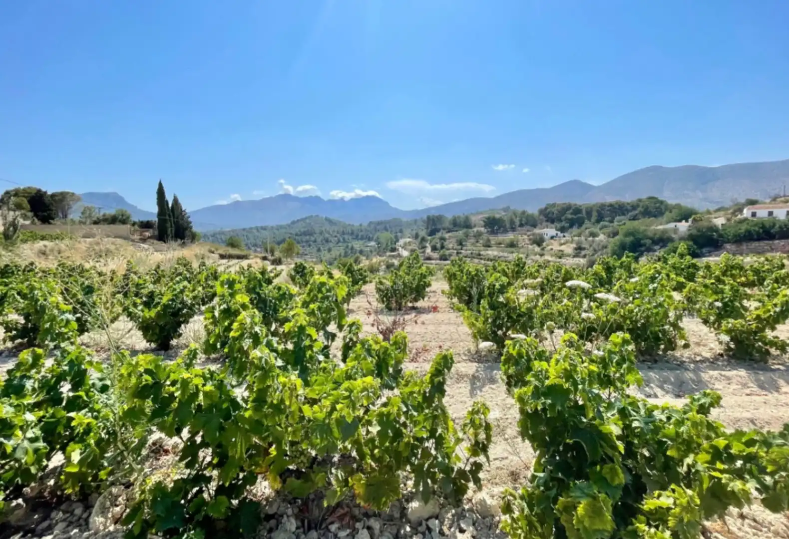 Chalet con terraza en venta en Benissa pueblo, imagen 12